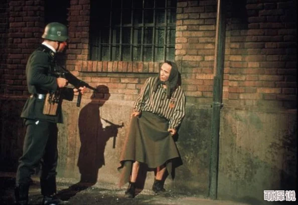 黄色电影专区4K修复版经典重现 黄色电影专区4K修复版经典重现